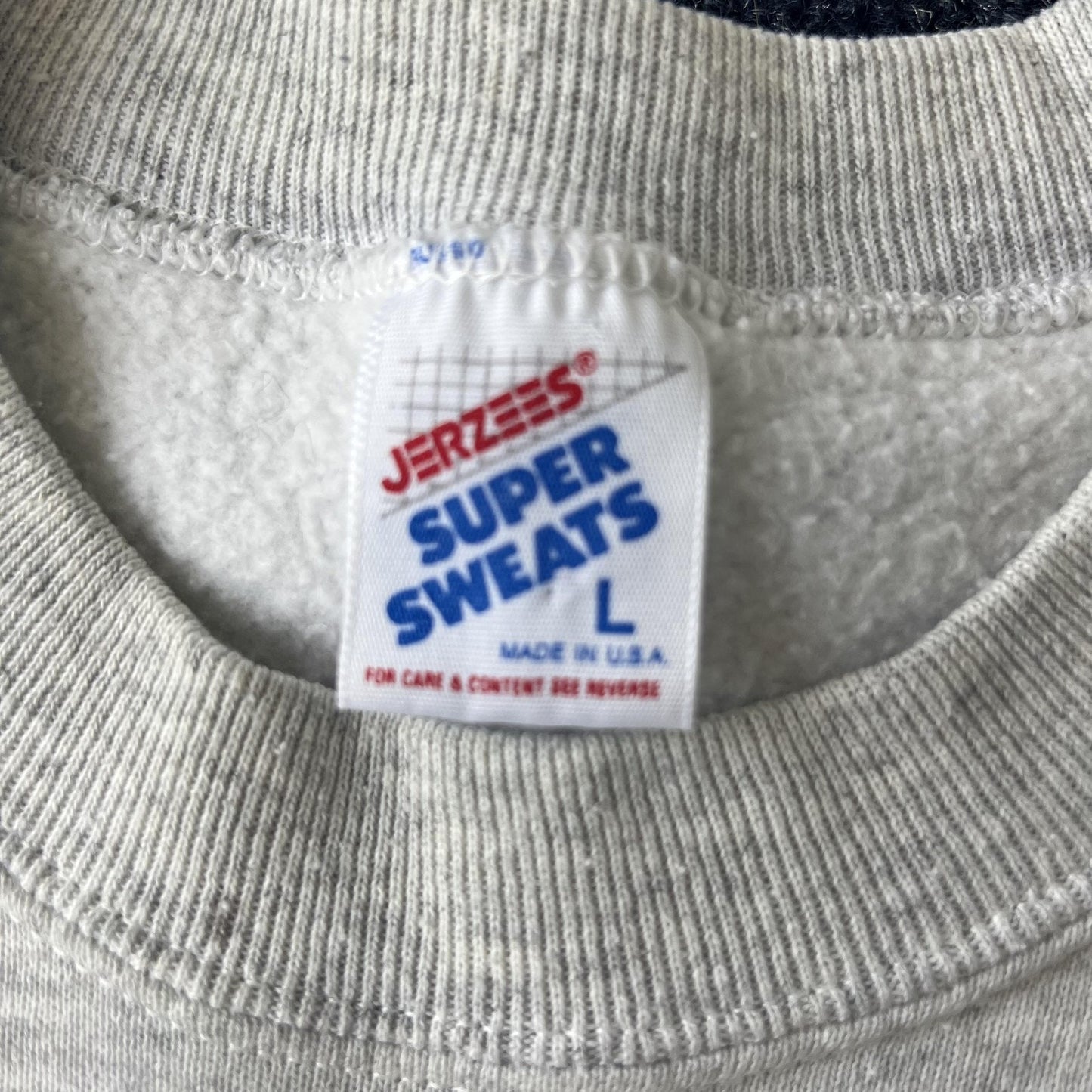 Vintage 90s Penn State Behrend Crewneck