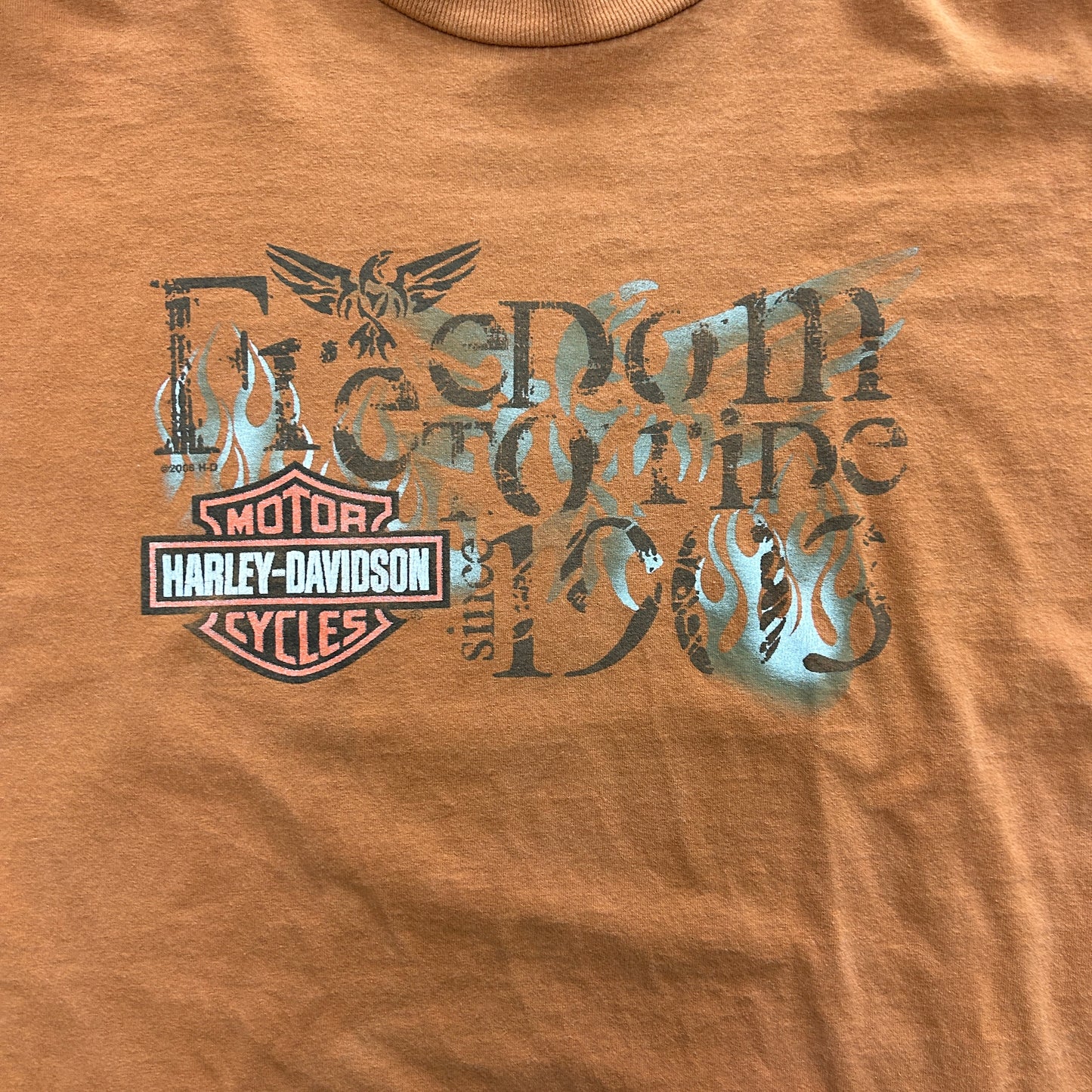 Vintage Harley Davidson York Pennsylvania Tee