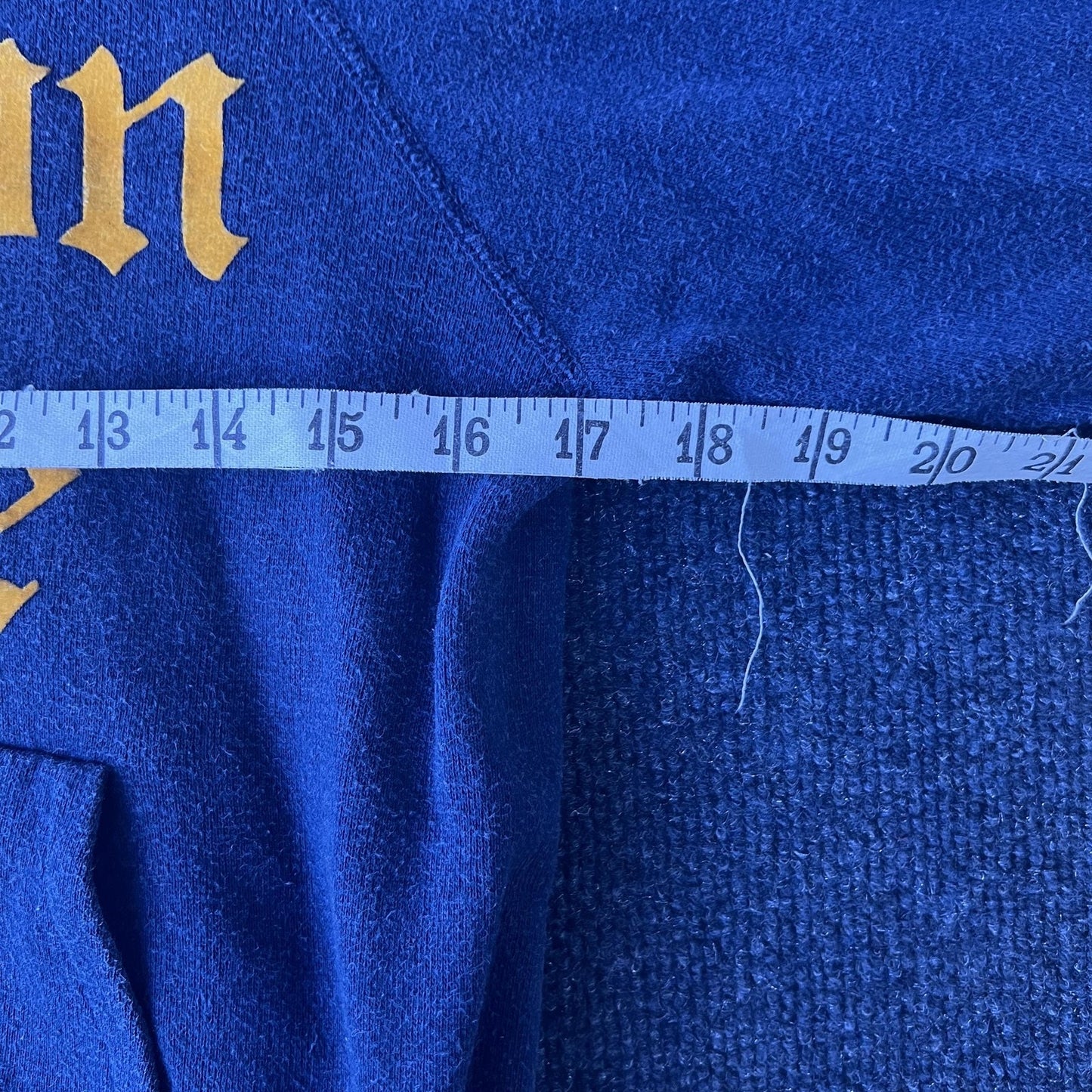 Vintage 80s Clarion State Script Hoodie