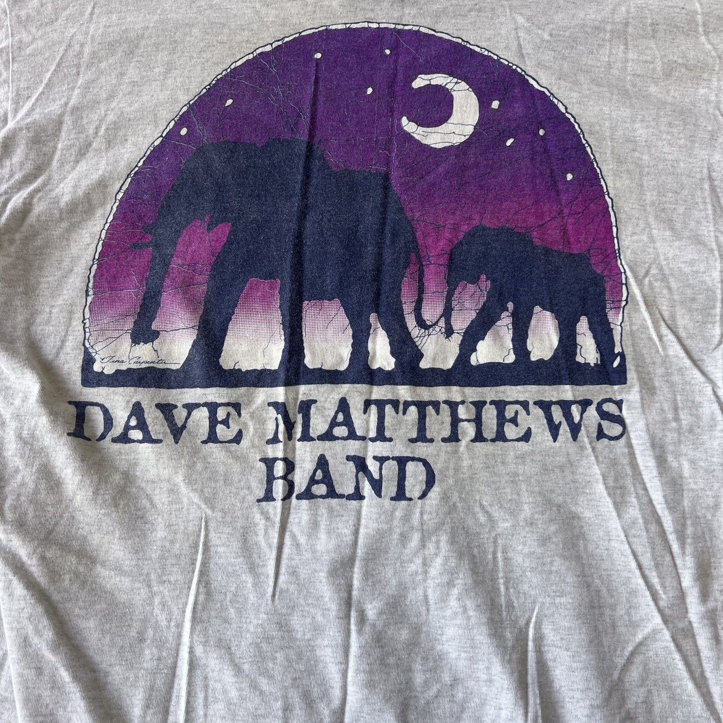 Vintage Dave Matthews Band Elephant Concert Tee