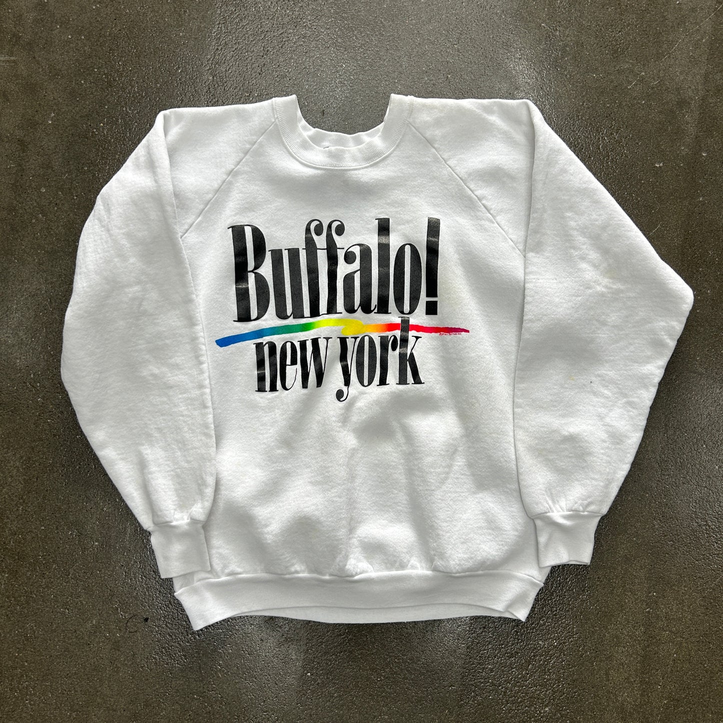 Vintage 1990 Buffalo New York Sweatshirt