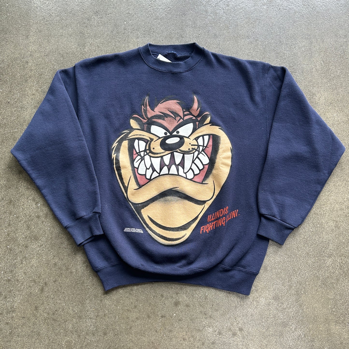 Vintage 1993 Taz Illinois Fighting Crewneck
