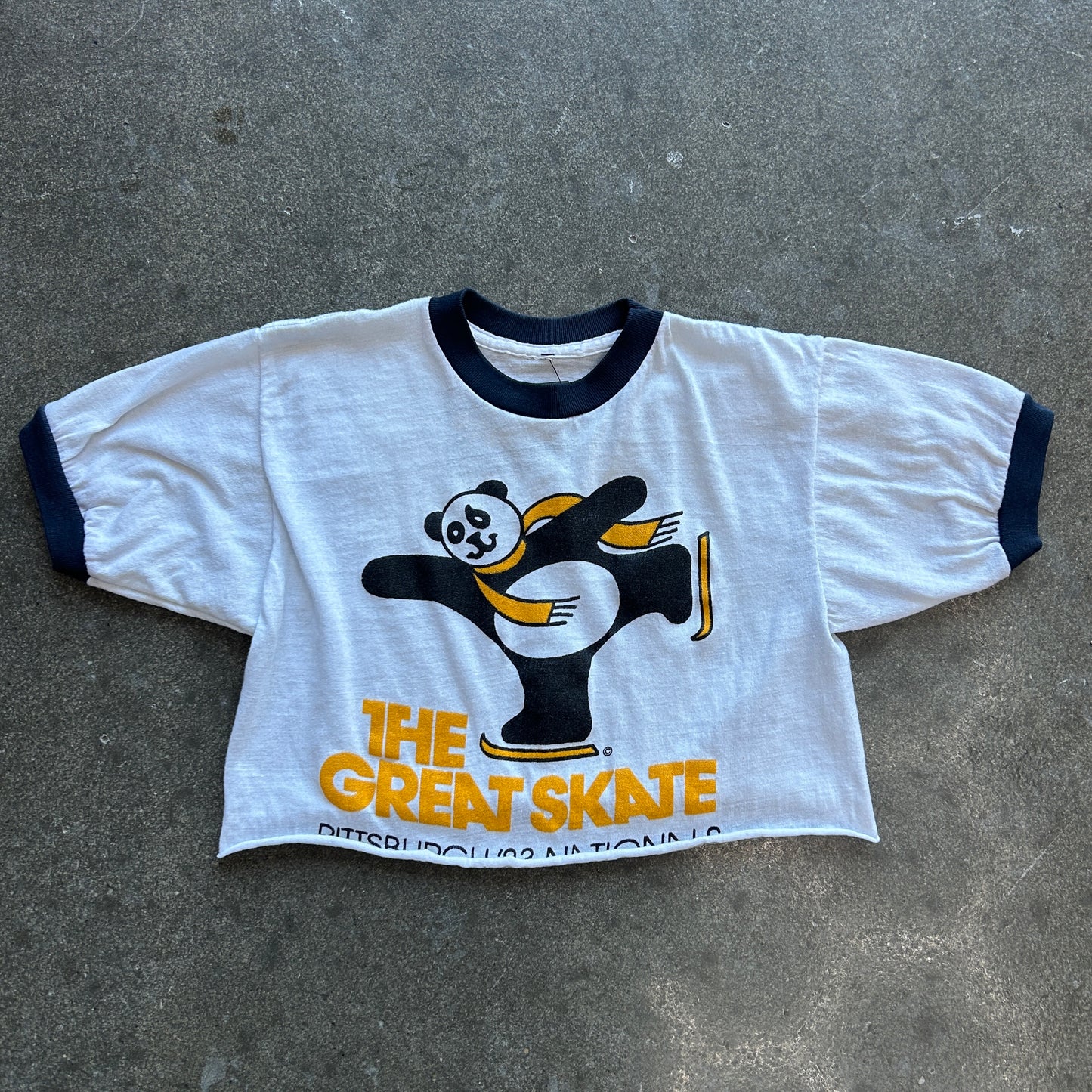 Vintage 1983 Pittsburgh Great Skate Tee