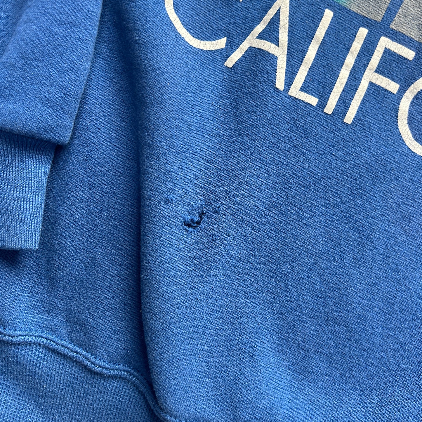 Vintage Venice Beach California Crewneck