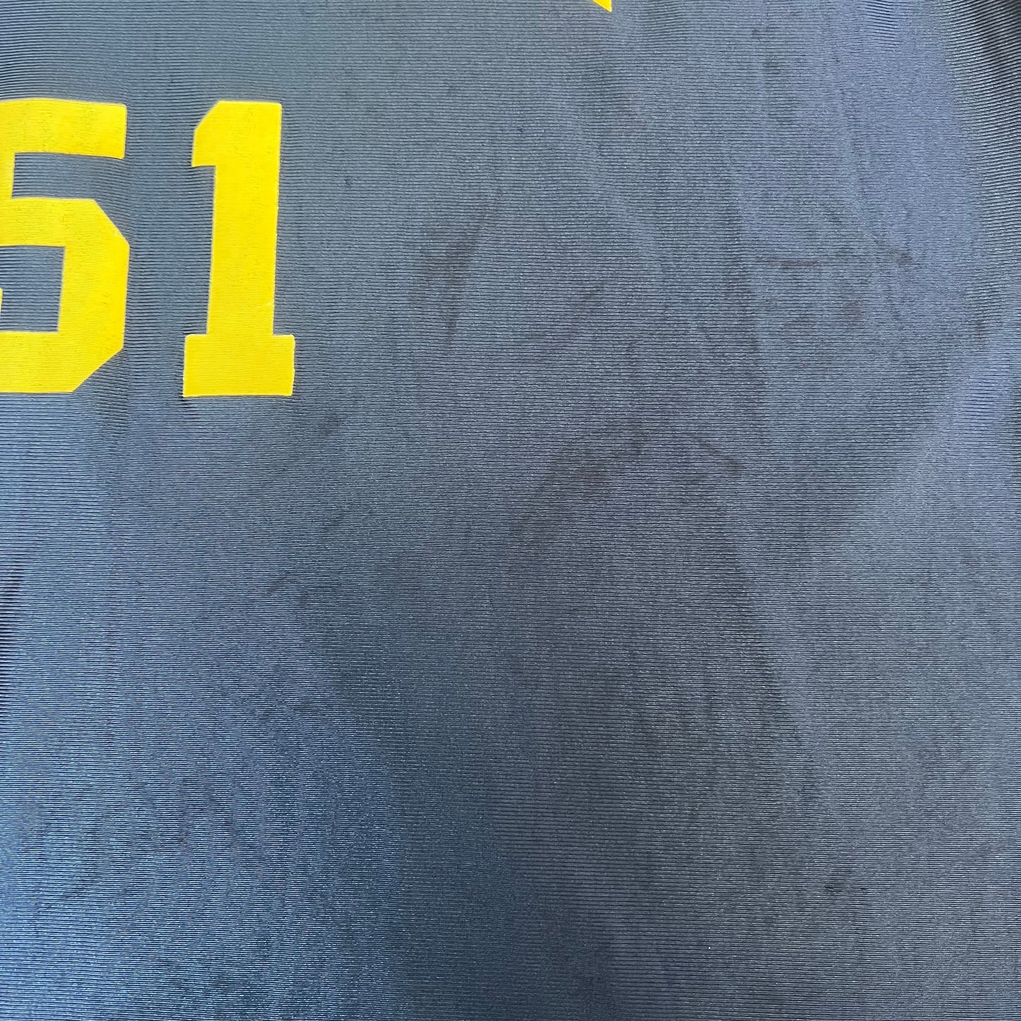 Vintage Butler 51 Jersey