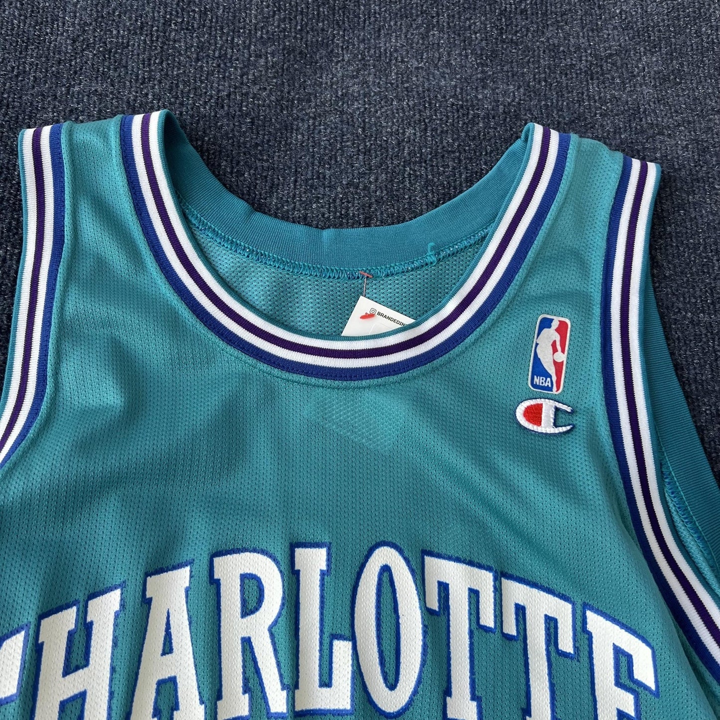 Vintage 90s Champion Charlotte Hornets Mourning Jersey