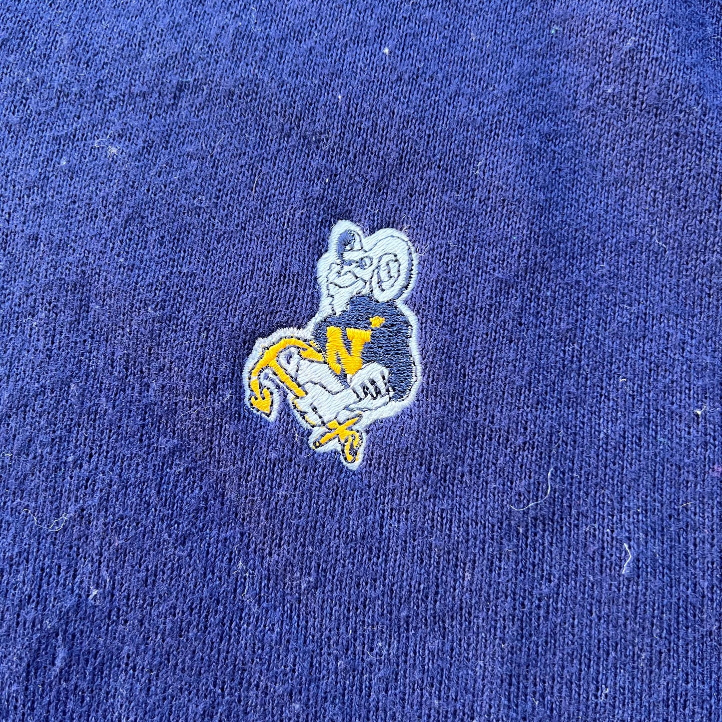 Vintage Navy Champion Sweater