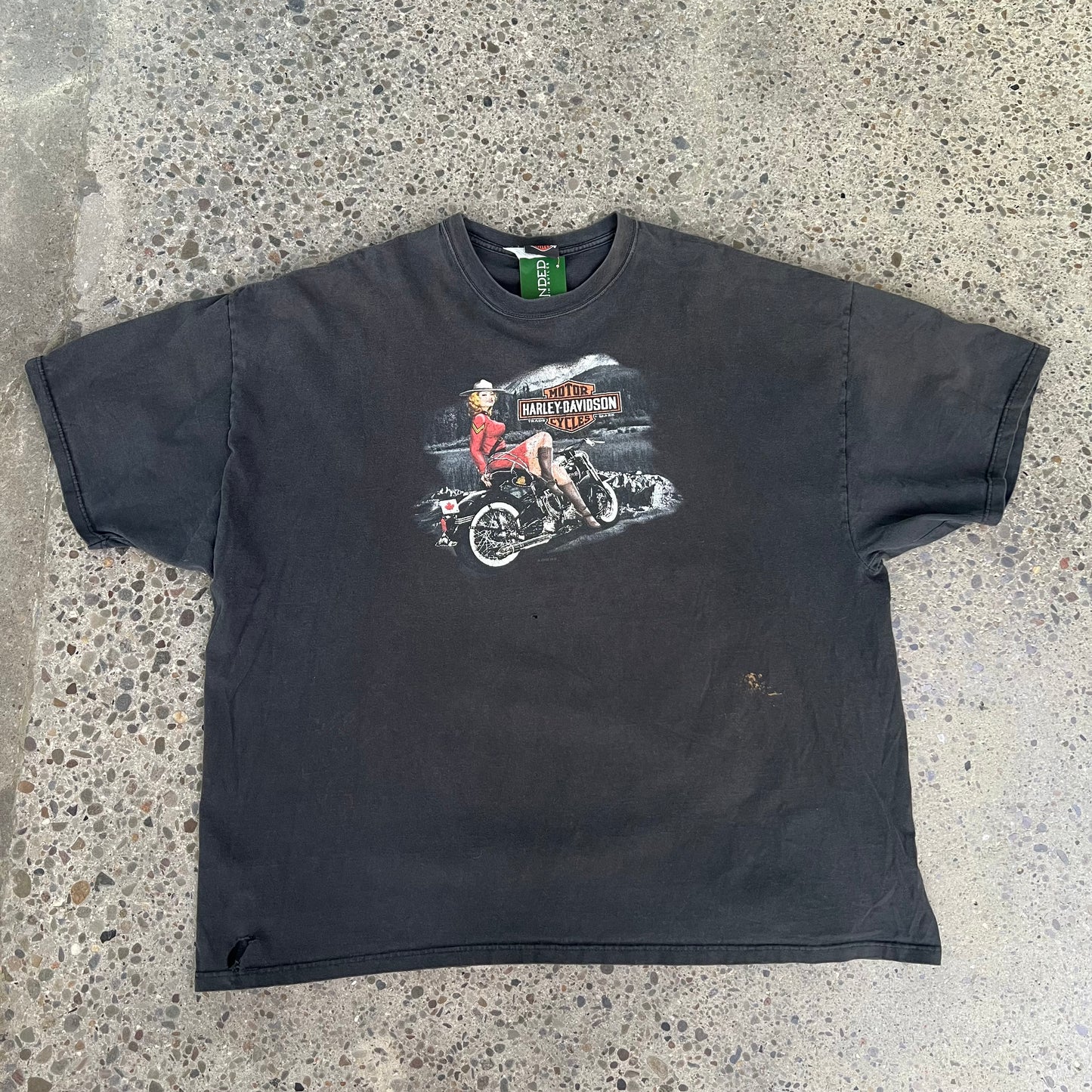 Vintage Harley Davidson Niagara Falls Tee