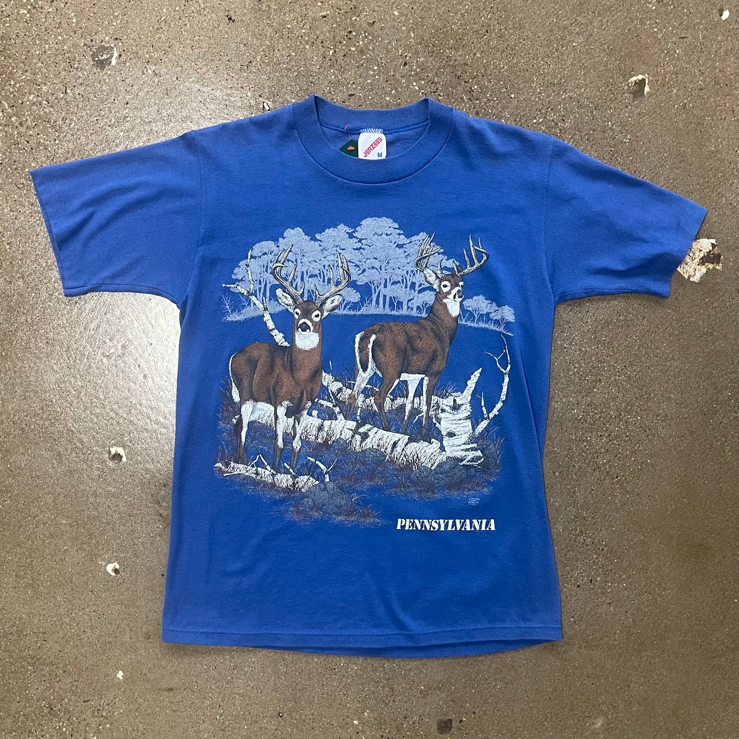 Vintage Pennsylvania Nature Tee