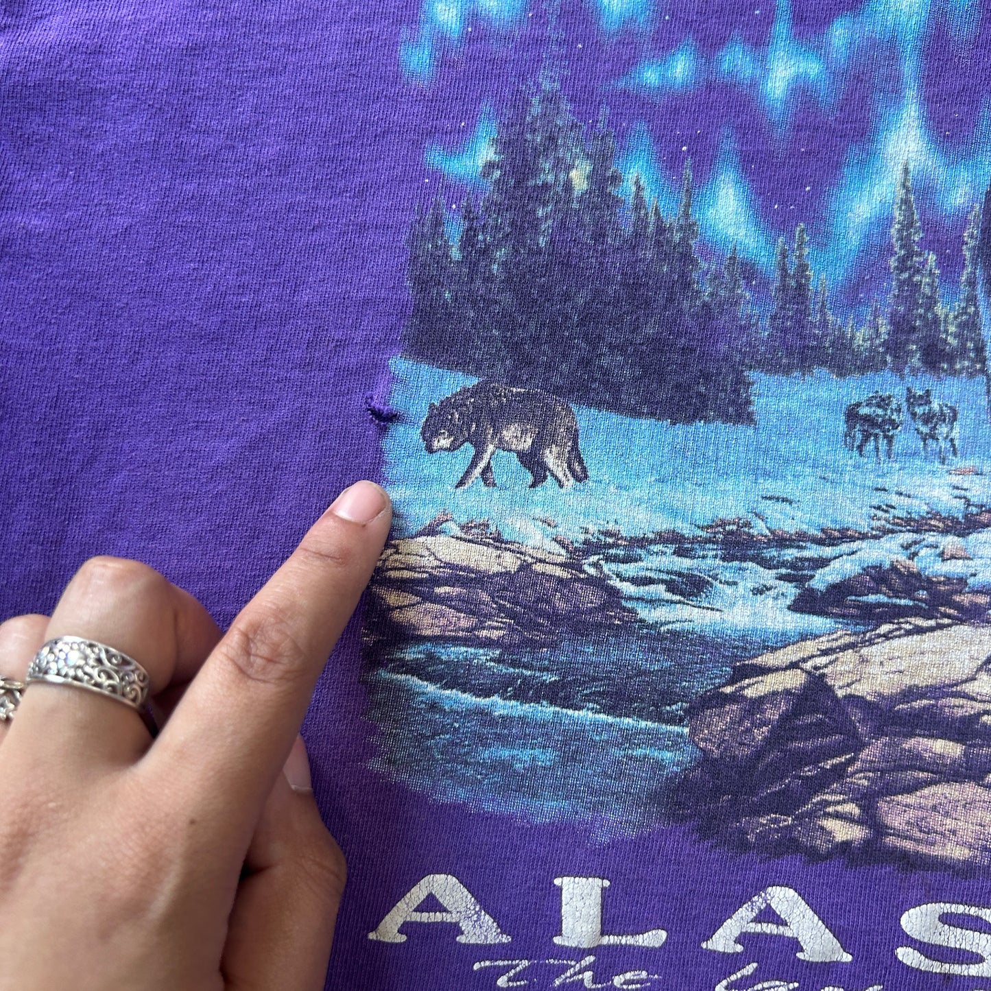 Vintage Prairie Mountain Alaska Baby Tee