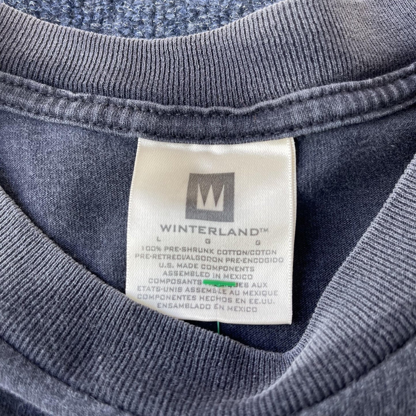 Vintage 90s Collin Raye Country Band Tee