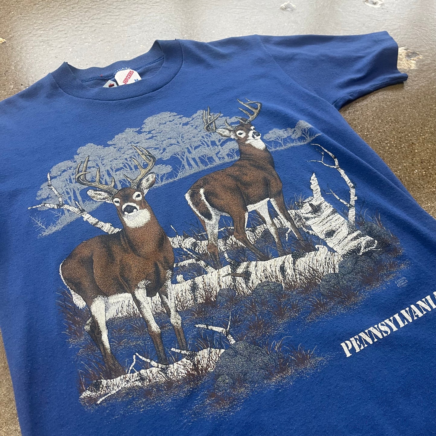 Vintage Pennsylvania Nature Tee