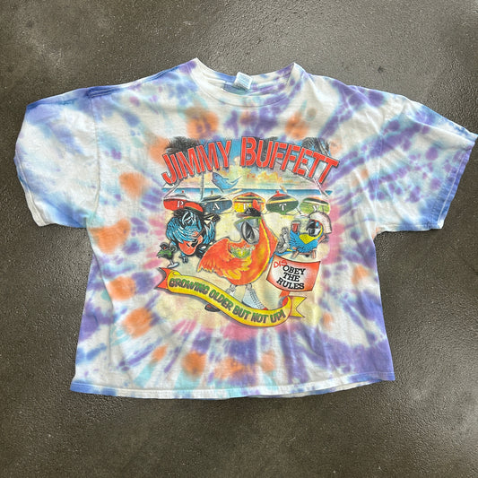 Vintage 2005 Jimmy Buffett Tour Tee