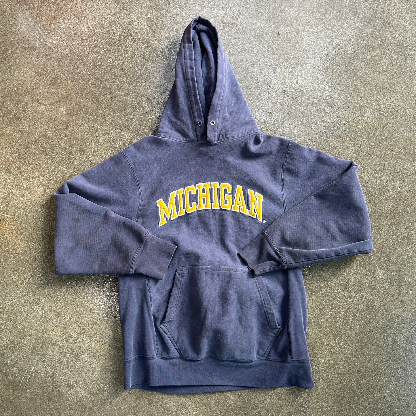 Michigan State Hoodie