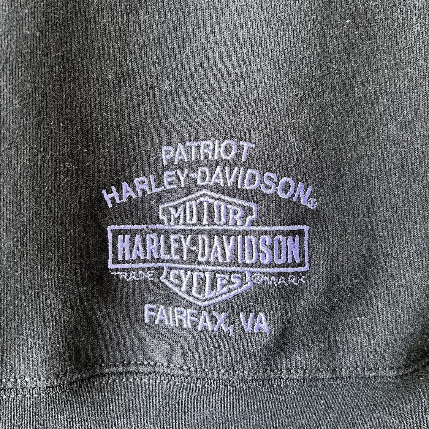 Y2K Harley Davidson Embroidered Fairfax VA Hoodie