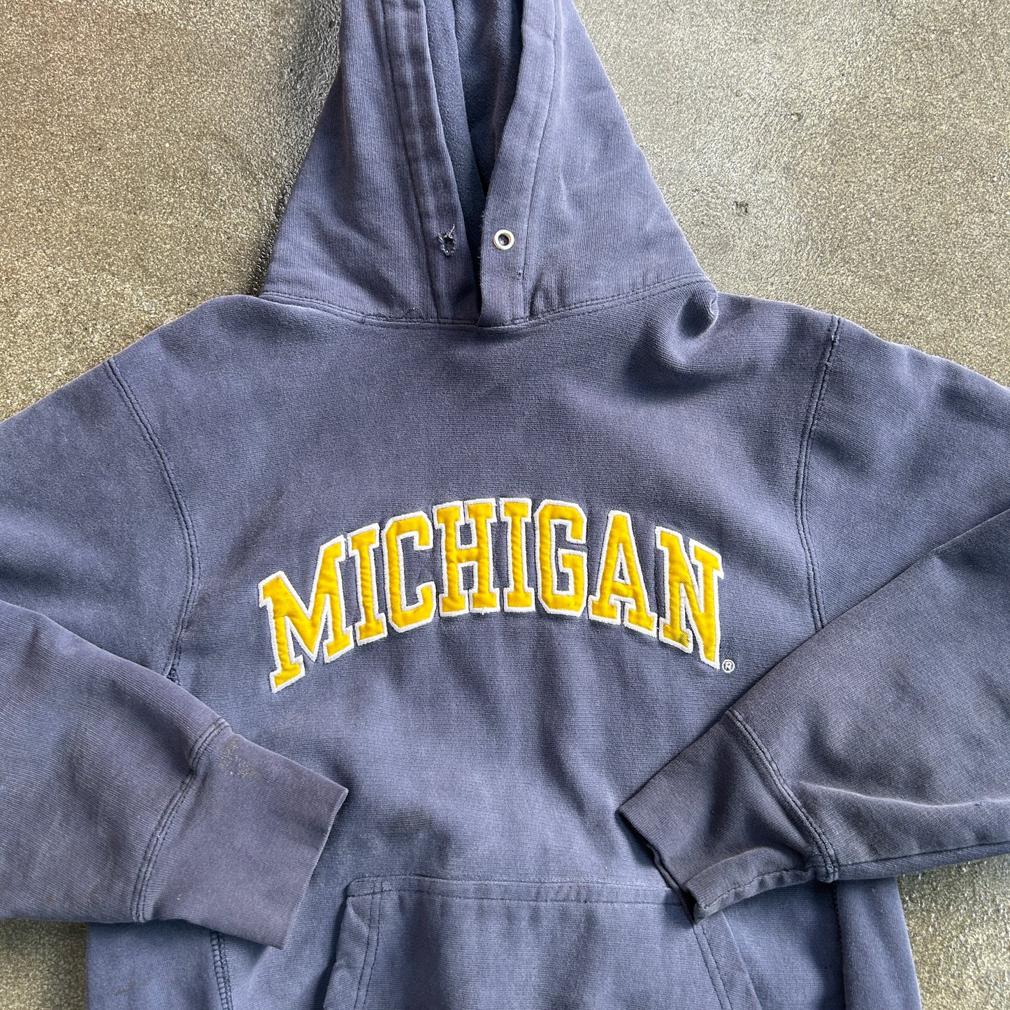 Michigan State Hoodie