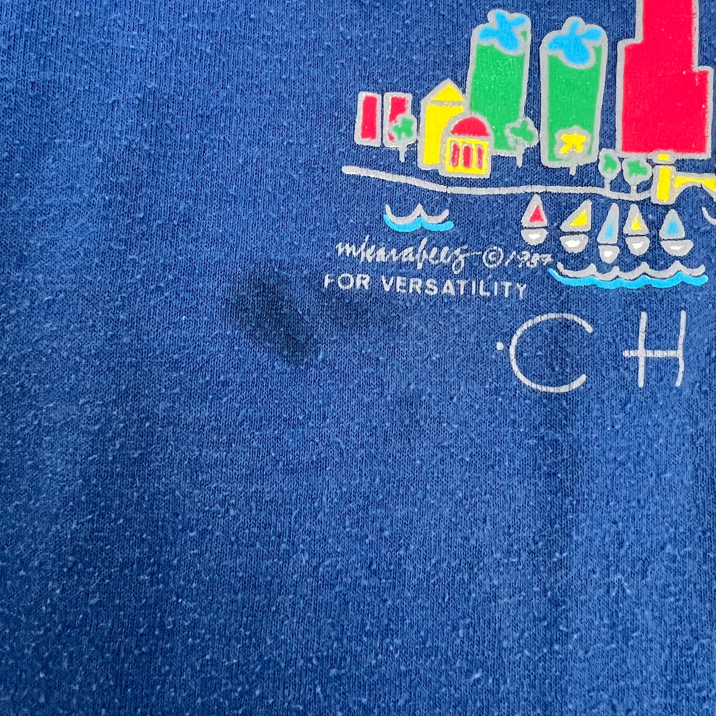 Vintage Jerzees Chicago Baby Tee