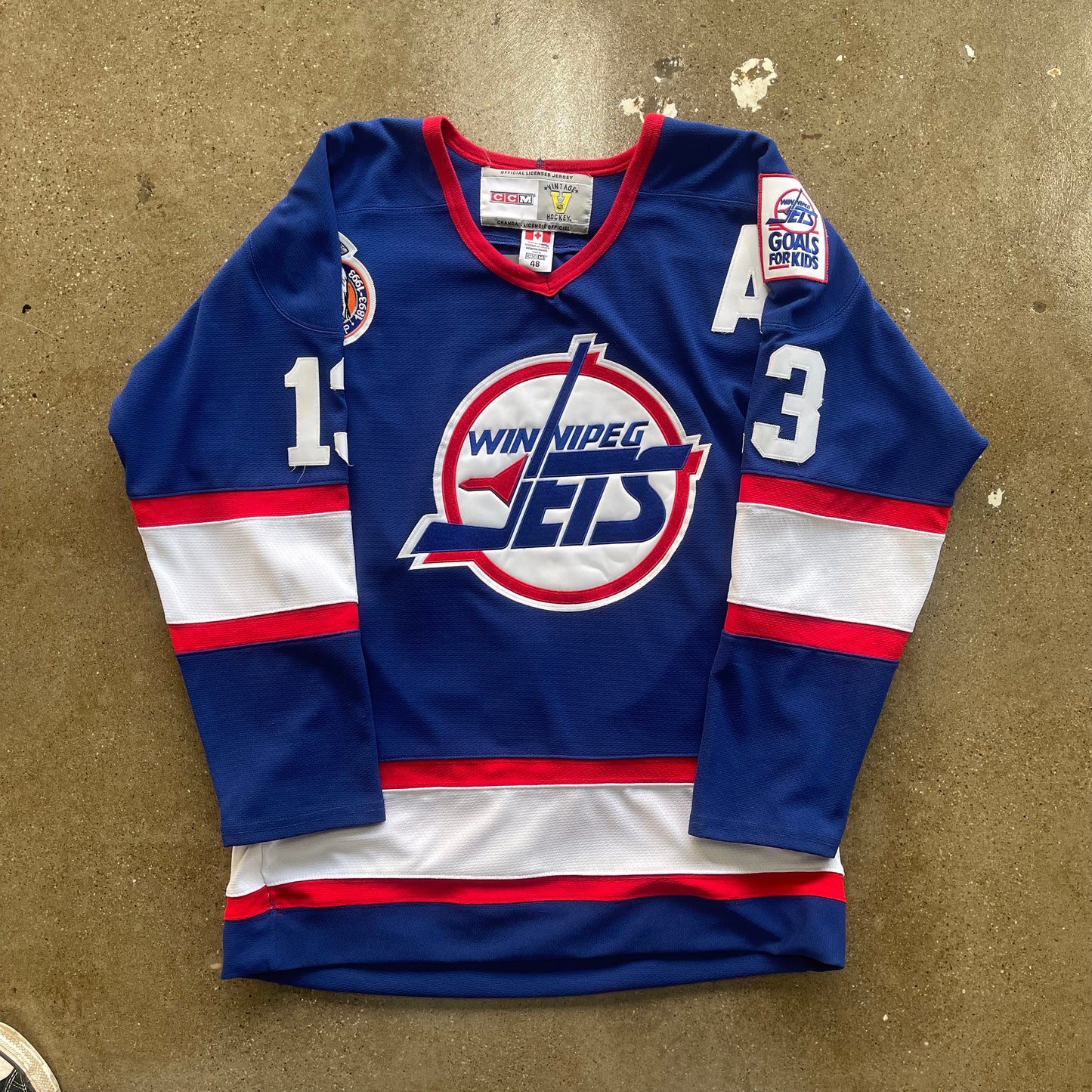 Vintage Winnipeg Jets Selanne Jersey