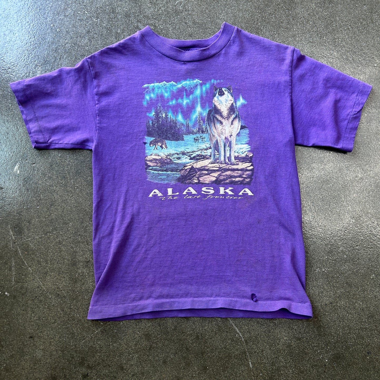 Vintage Prairie Mountain Alaska Baby Tee