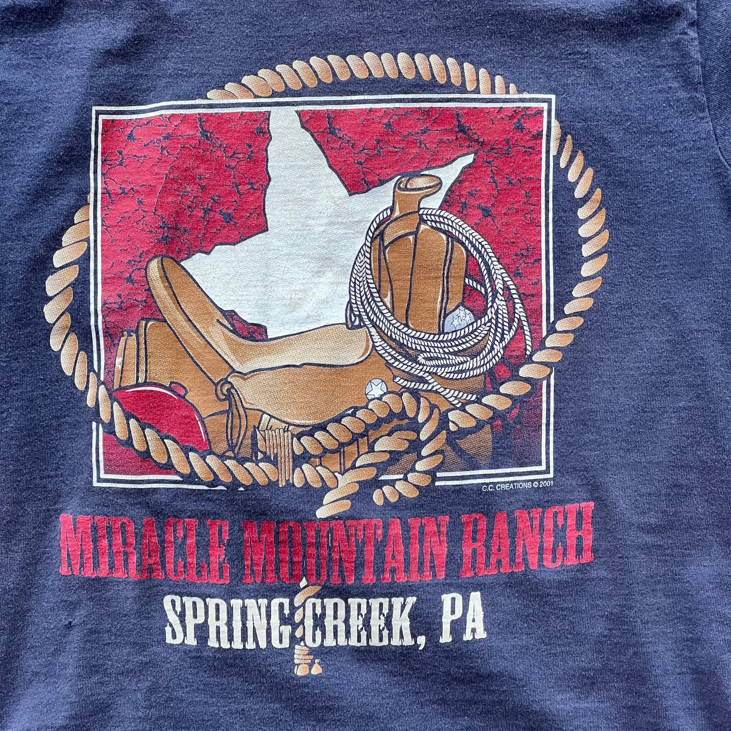 Vintage 2001 Miracle Mountain Ranch Baby Tee