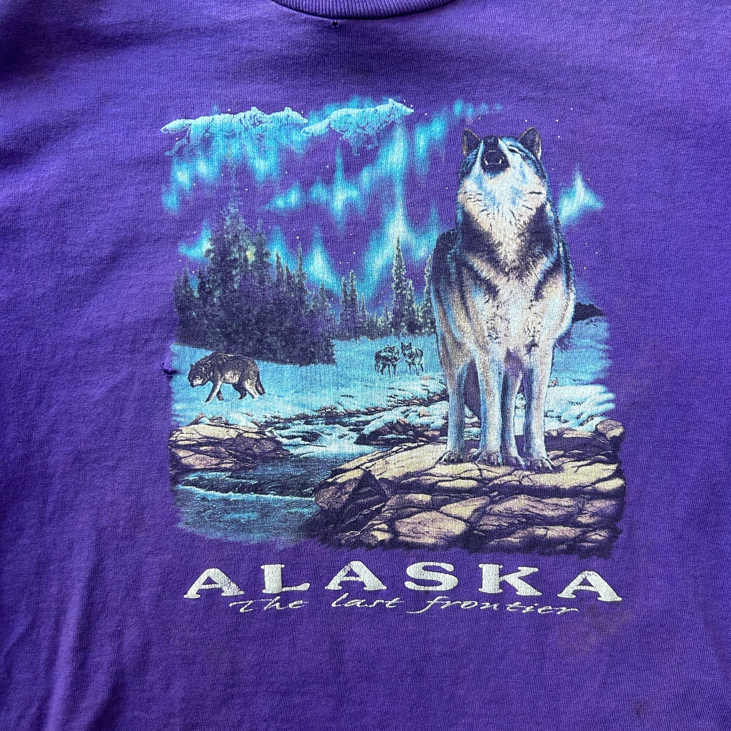 Vintage Prairie Mountain Alaska Baby Tee