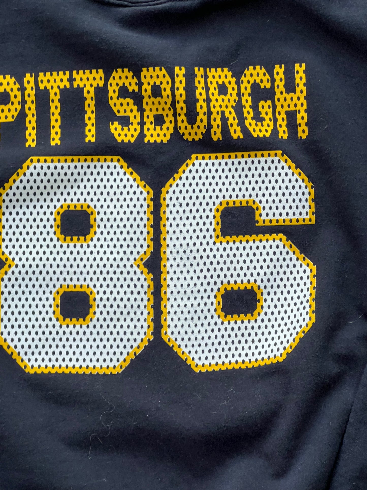 Vintage Pittsburgh 86 Crewneck