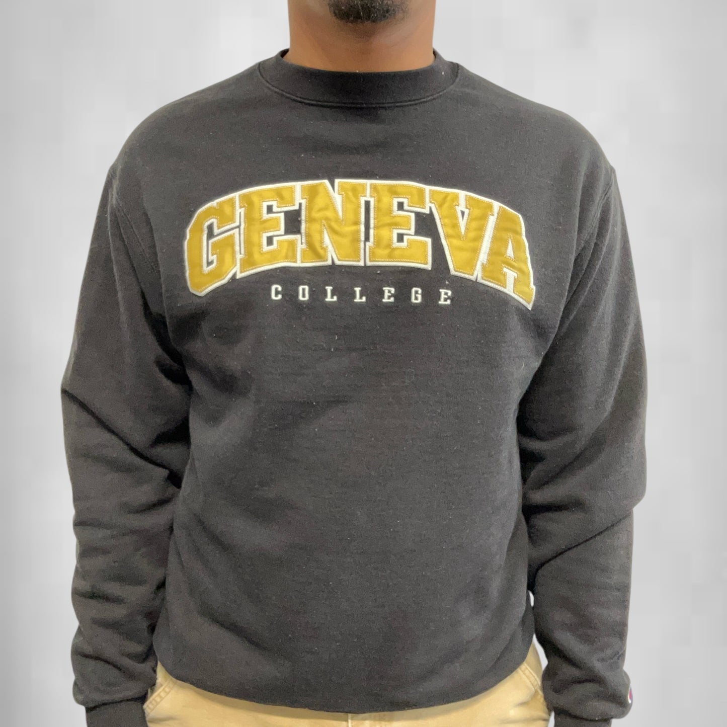 Geneva College Y2K Crewneck