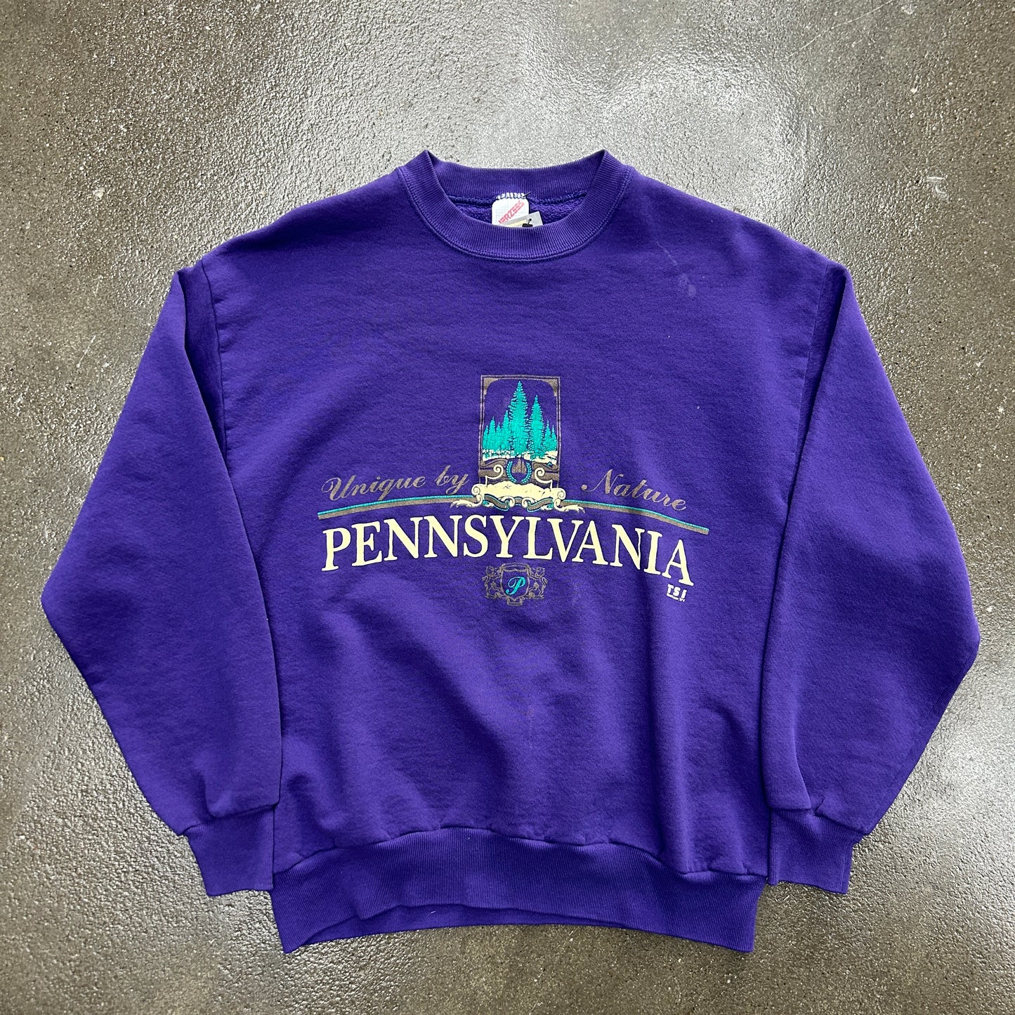 Vintage Pennsylvania Nature Sweatshirt