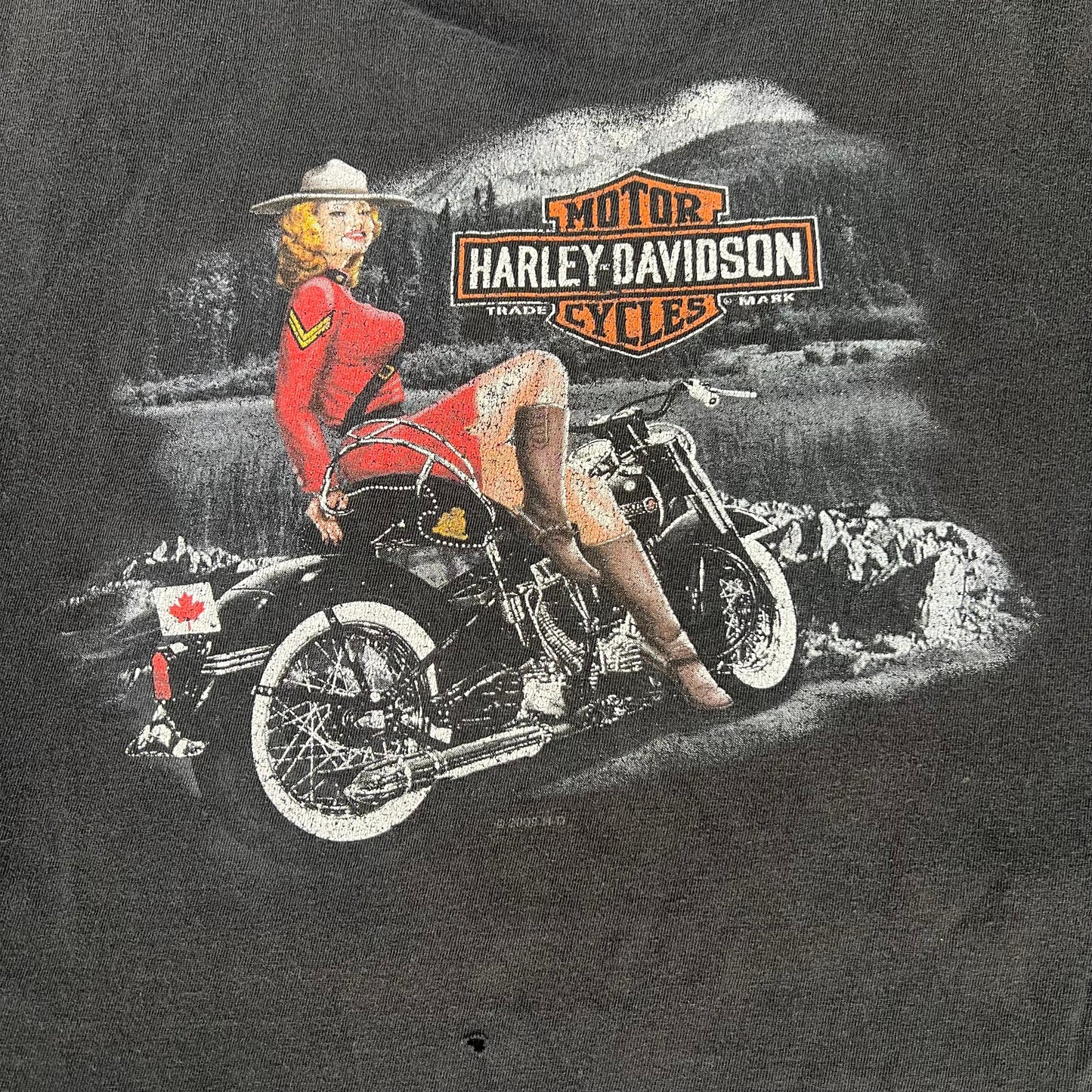 Vintage Harley Davidson Niagara Falls Tee