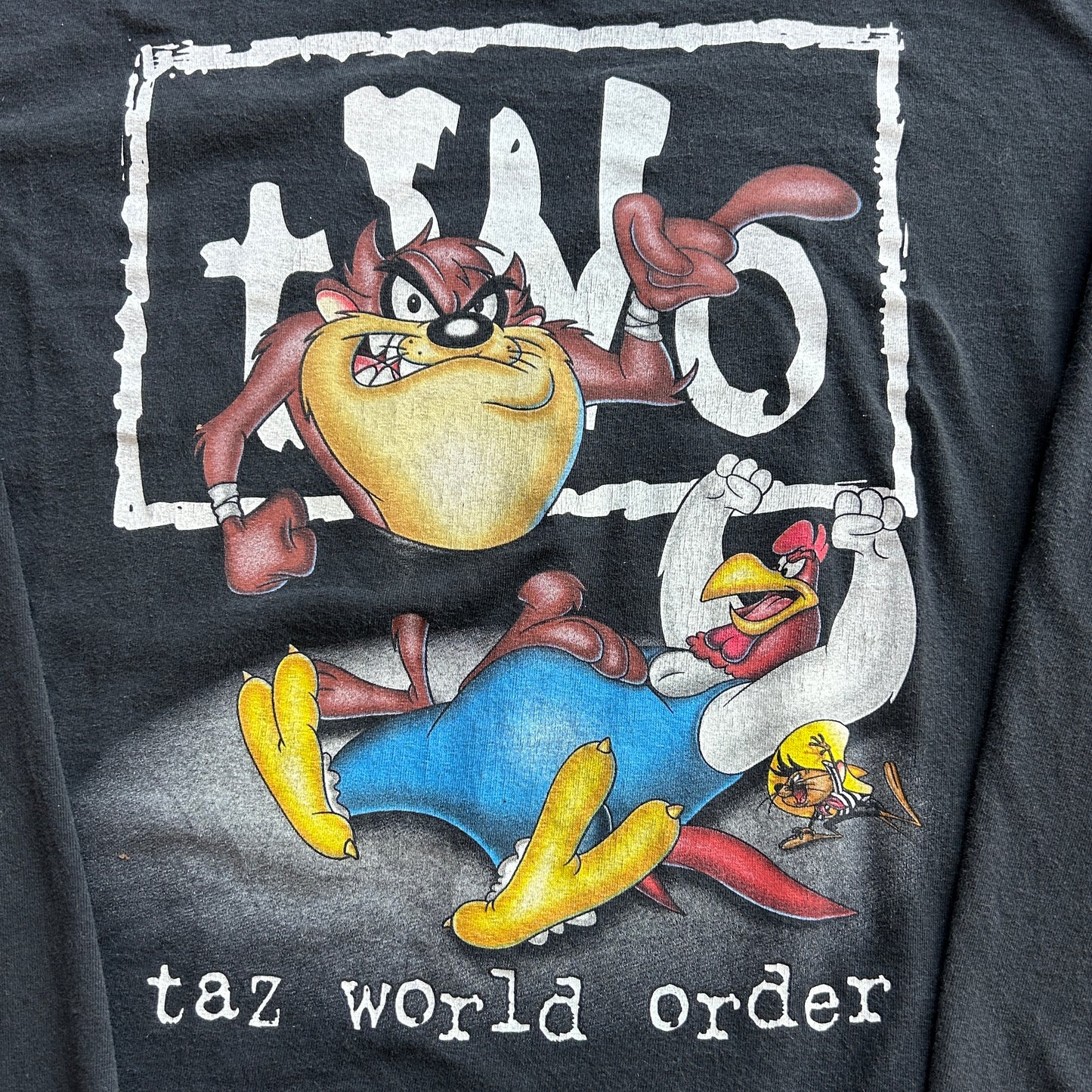 Vintage Taz World Order Looney Tunes Long Sleeve