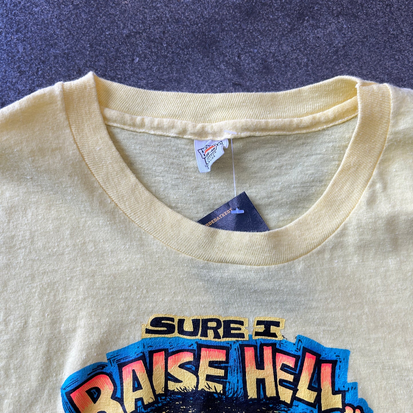 Vintage 70s Raise Hell Tee