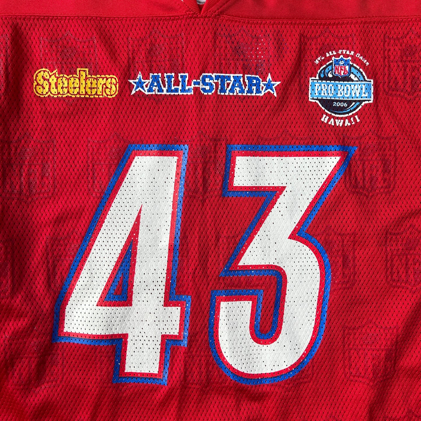 Vintage 2006 Troy Polamalu All-Star Jersey