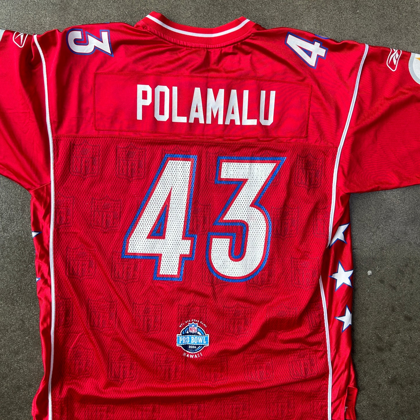 Vintage 2006 Troy Polamalu All-Star Jersey