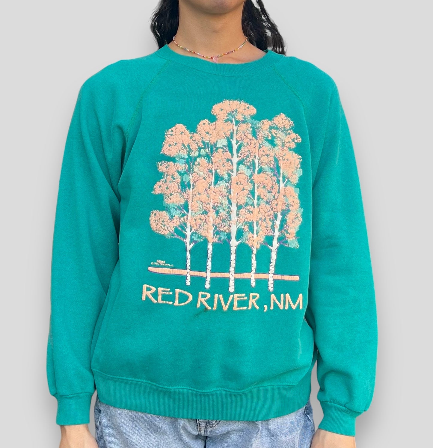 Vintage 1990 Red River, NM Crewneck